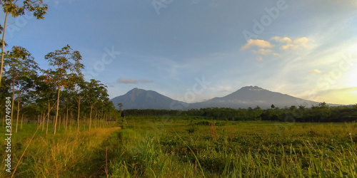 Beautiful Sunday morning at Kalibendo Plantation Banyuwangi Indonesia