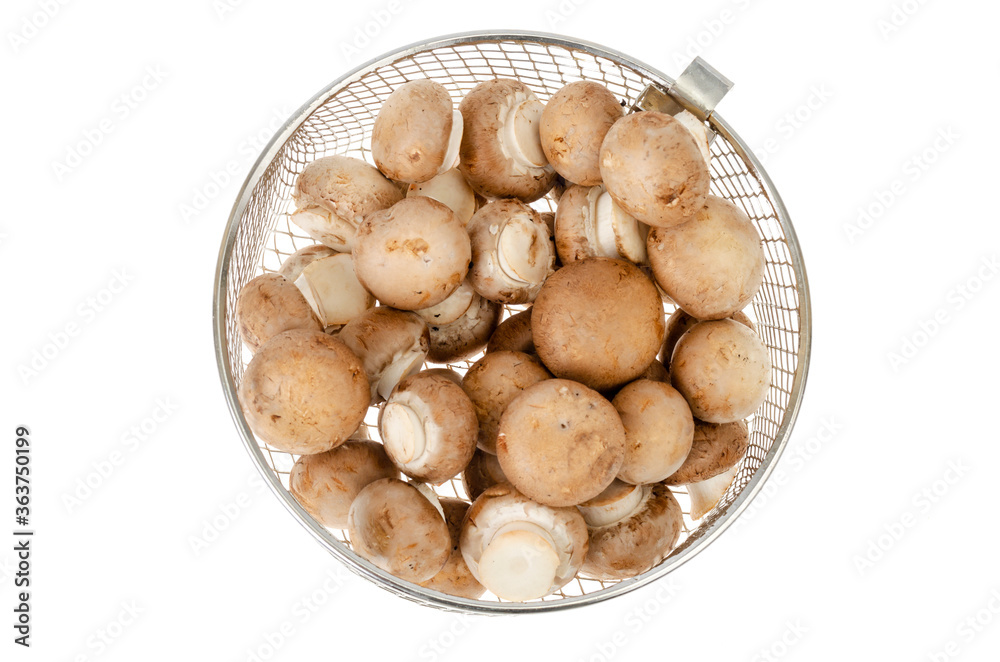 Pile of brown royal champignons on white background Pile of brown royal champignons on white background