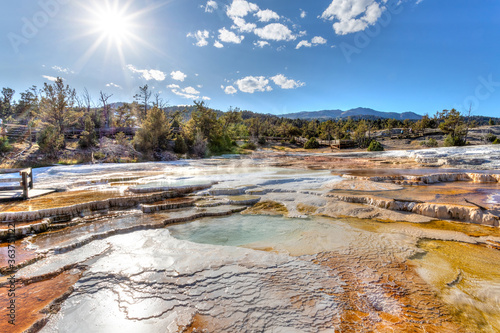 Canary Spring at Mammoth Hot Springs in Yellowstone National Park photo