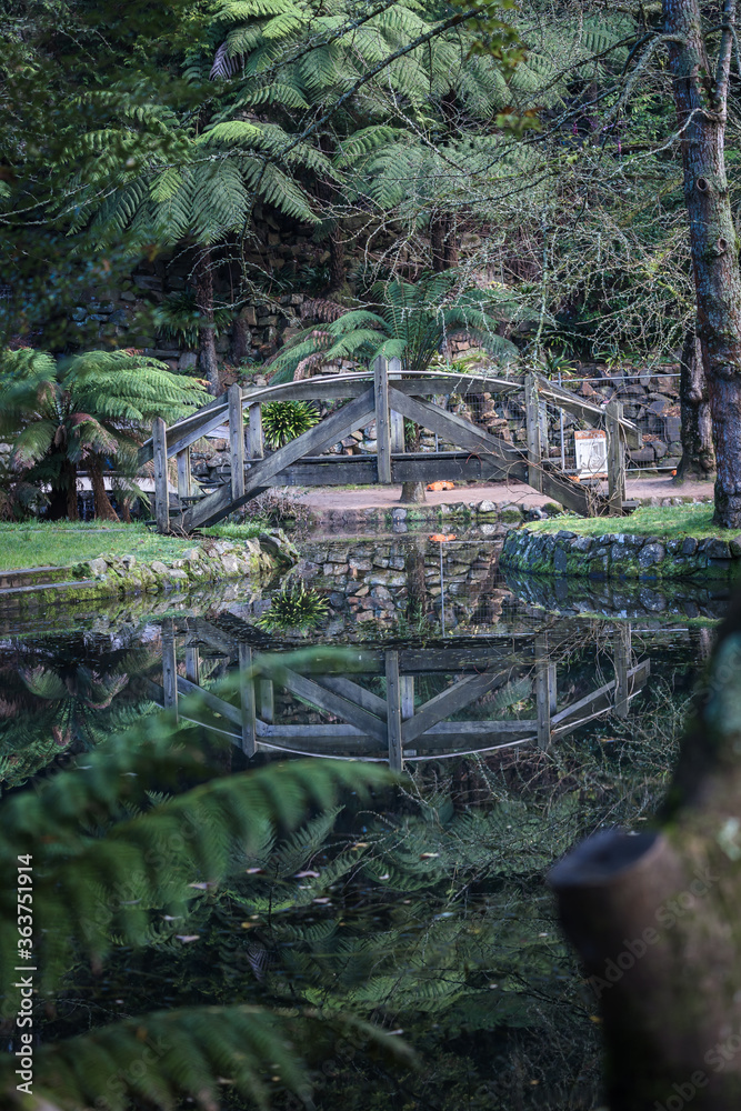 Beautiful garden with plants and trees Beautiful garden with plants and trees
