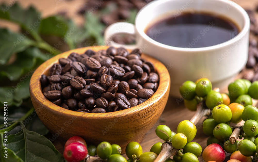 Fototapeta premium Cup of coffee beans with smoke