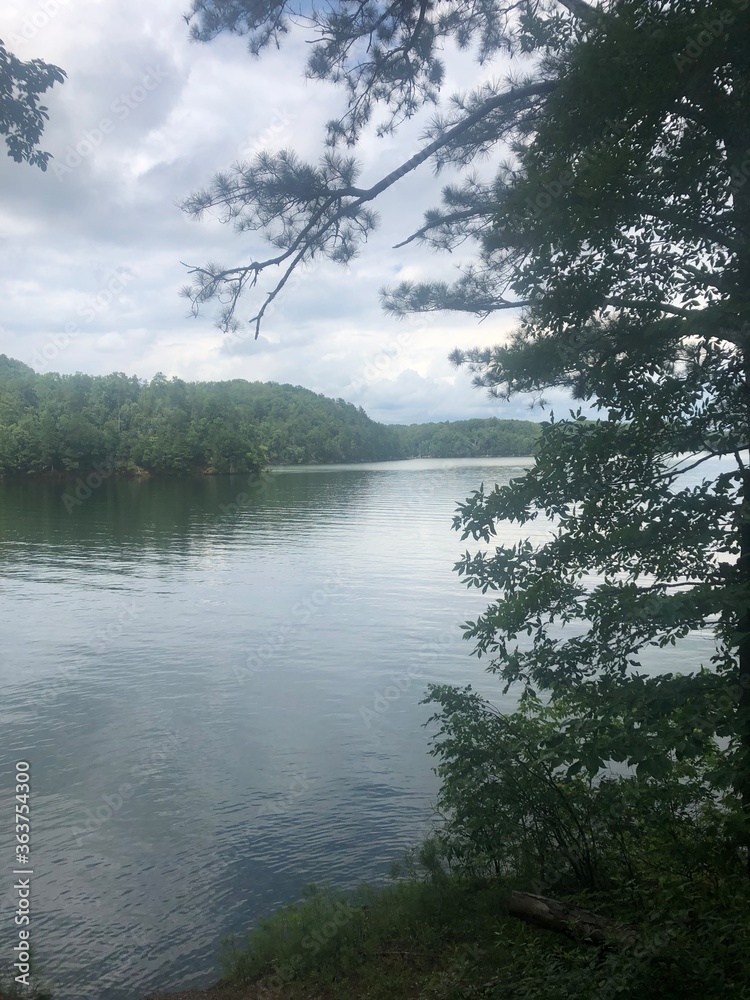 Obraz premium morning on the lake