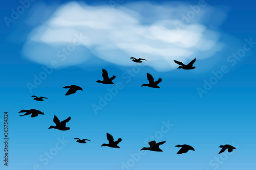 Flying birds in the blue sky. Black silhouettes of pigeons swallows. Realistic sketch of a flock of birds. Vector image. Stock Photo. © Лена Полякевич