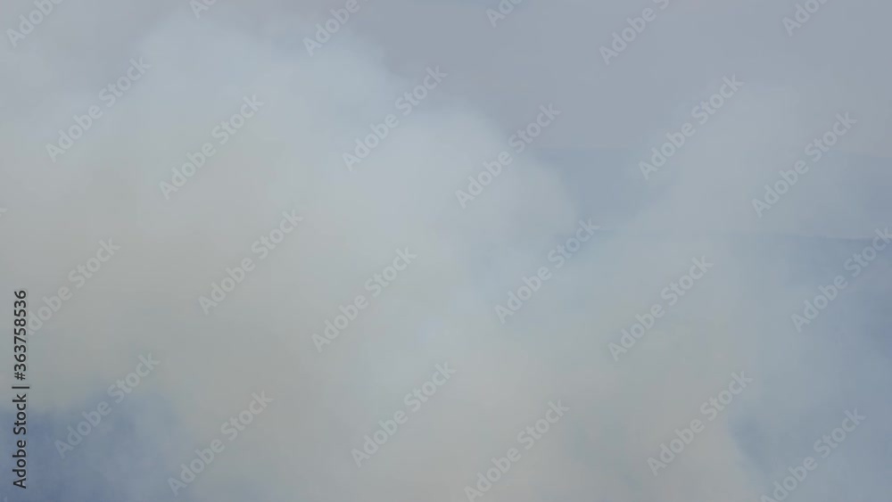 Thick Fire Smoke Close Up. Brushfire in Nature, Full Frame Thick Fire Smoke Close Up. Brushfire in Nature, Full Frame