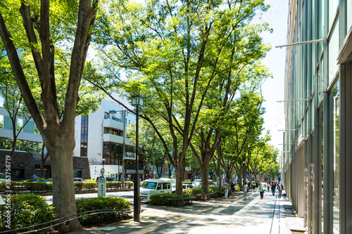 (東京都-都市風景)新緑の表参道１
