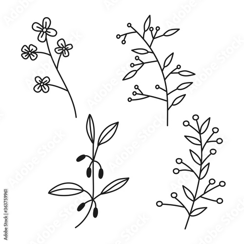 Set of black and white twigs, leaflet, herbs and flowers.