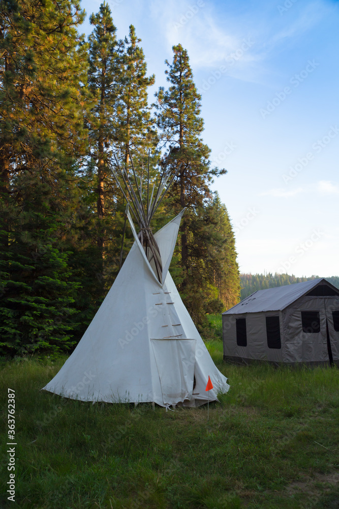 A white Indian tent and a canvas tent set up in meadow Surround by pine forest