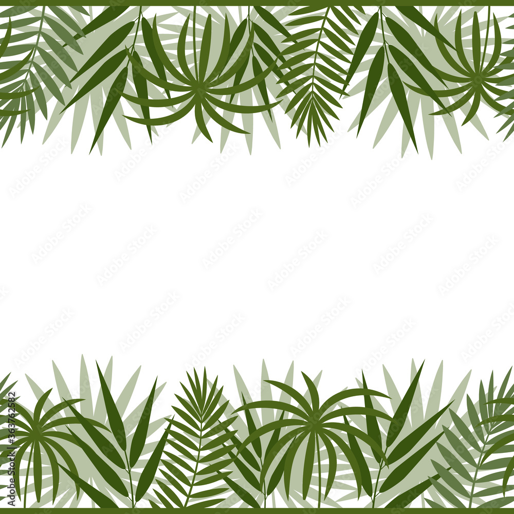 border frame with tropical leaves of monstera, palm and bamboo green on a white background, color vector illustration, design, decoration, print, texture, banner