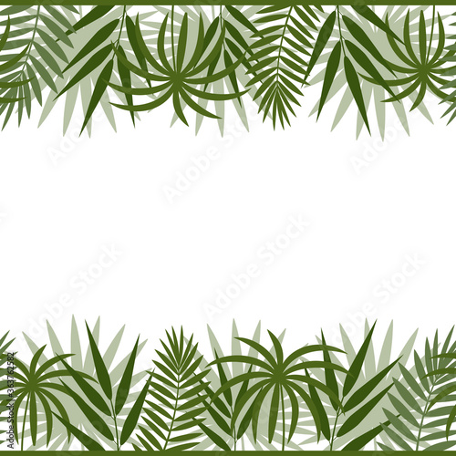 border frame with tropical leaves of monstera  palm and bamboo green on a white background  color vector illustration  design  decoration  print  texture  banner