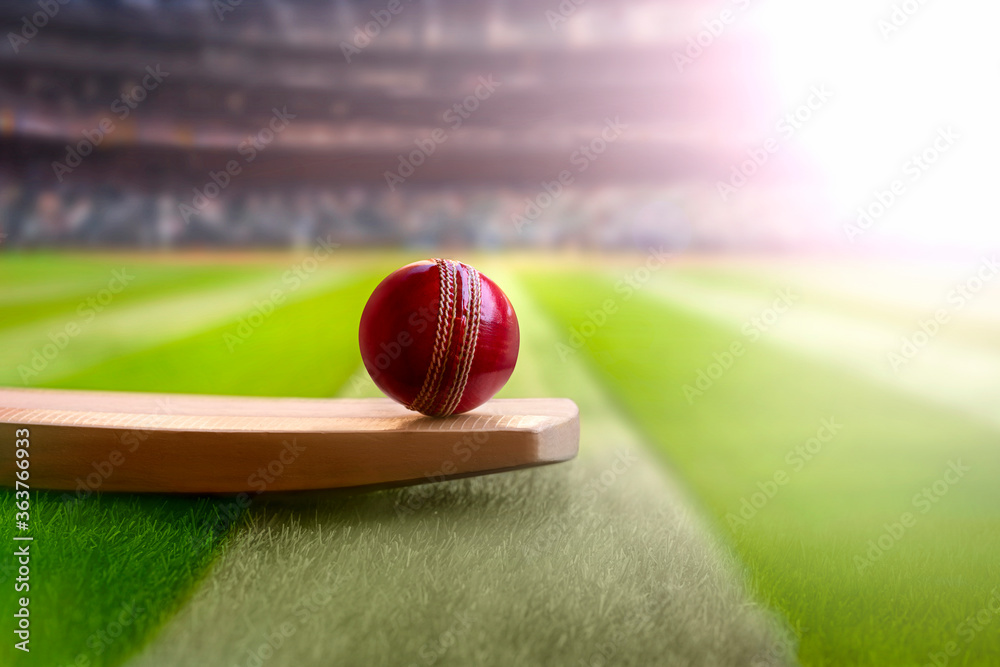 cricket leather ball resting on bat on the stadium pitch Stock Photo |  Adobe Stock