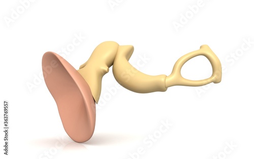 3d illustration of inner ear. malleus, incus, stapes on a white background photo