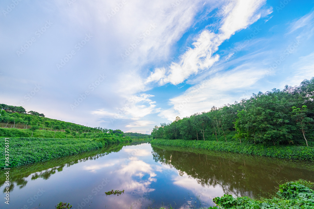 Fototapeta premium The lake in the forest is under the blue sky and white clouds