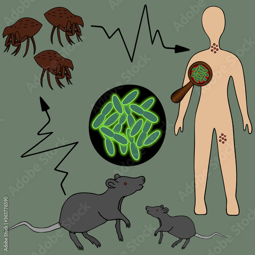 The scheme of infection with the plague bacterium: rat - flea - man. Bubonic plague. Vector illustration. Outline on an isolated green background. A symbol of biohazard in the eyes. Neon. Science.