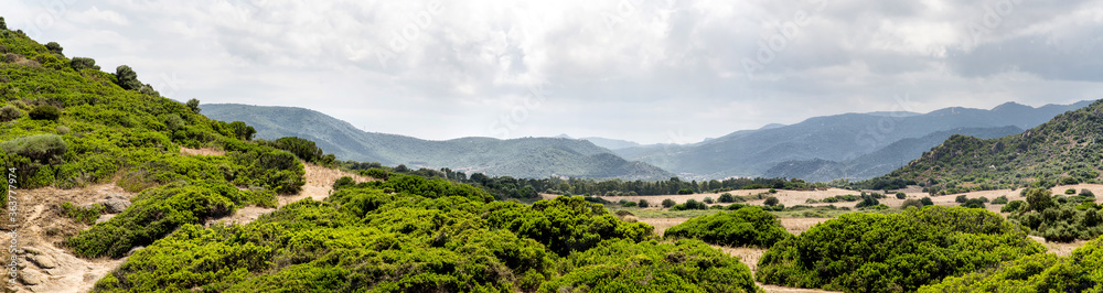 Fototapeta premium Traditional Sardinian Landscape with Hills, Low Bushes and Dry Yellow Grass.