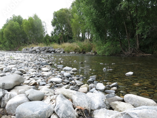 river in the woods