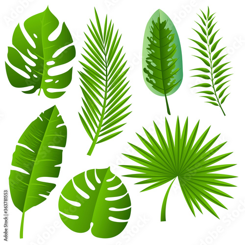 Vector tropical exotic leaves