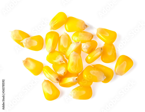 corn seeds isolated on white background