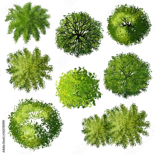 set of tree top view for landscape plan and architecture element

