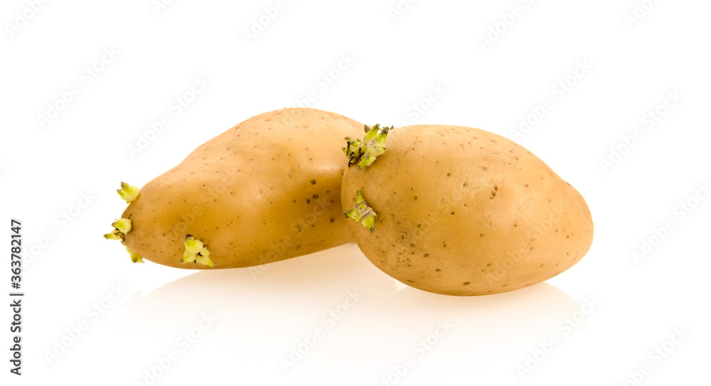 potato isolated on white background potato isolated on white background