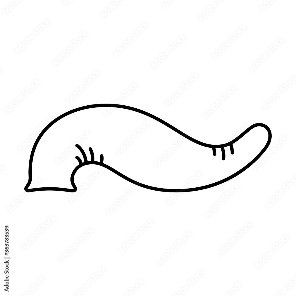 Leech icon. Linear logo of hirudotherapy or leeching. Black simple illustration of alternative medicine. Contour isolated vector image on white background