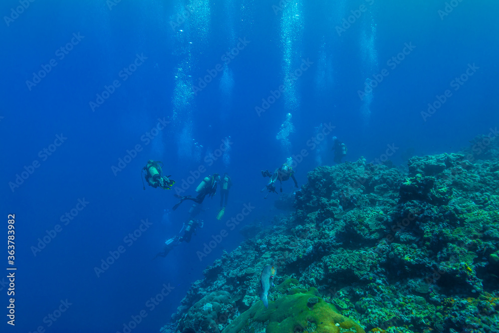 青く澄んだ外洋に面したサンゴ礁を行くダイバーたち。ミクロネシア連邦ヤップ島