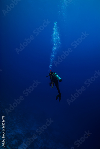 Wallpaper Mural 真っ青に透き通る海中で浮遊感を楽しむダイバー。ミクロネシア連邦ヤップ島 Torontodigital.ca