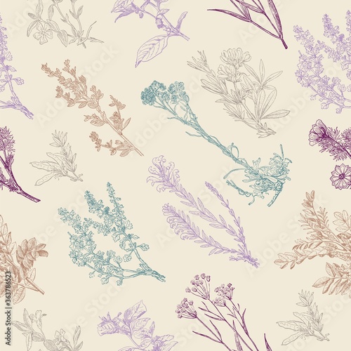 Herbal seamless pattern. Medical forest vintage plants. Herbs design for cosmetics, store, beauty salon, natural and organic products. Can be used like a texture and fabric print. Vector illustration. photo