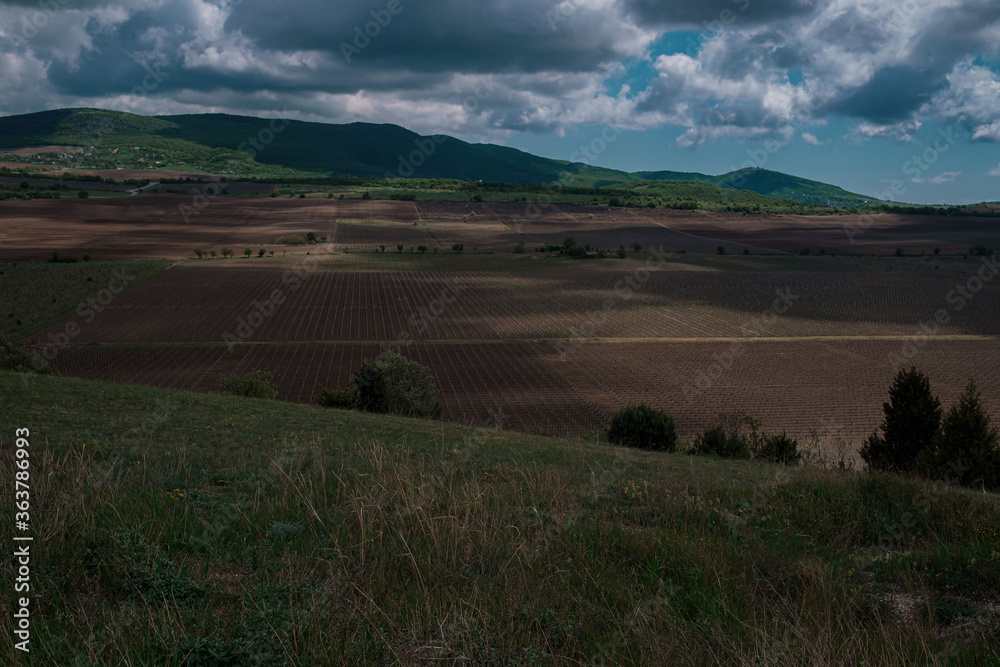 view of the valley with young vineyards, dramatic sky