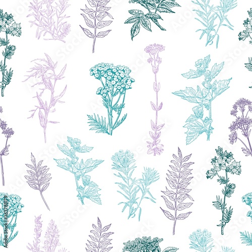 Wallpaper Mural Herbal seamless pattern. Medical forest plants. Background design for cosmetics, store, beauty salon, natural and organic products. Can be used like a texture and fabric print. Vector illustration. Torontodigital.ca