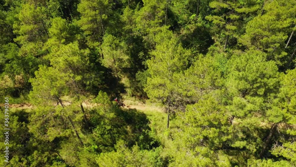 aerial view of friends doing a mountain bike route through the forest aerial view of friends doing a mountain bike route through the forest