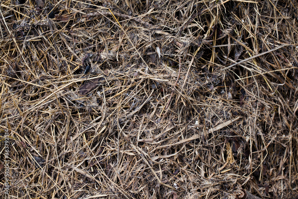 Rozkładająca się sucha, skoszona trawa, kompost, zbliżenie.