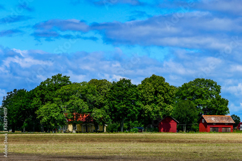 Lidkoping, Sweden July 9, 2020 Small red houses in a thicket of trees. photo