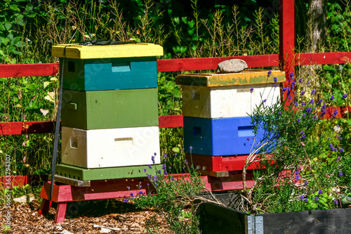 Photography Stockholm, Sweden Beehives in the Vinterviken park