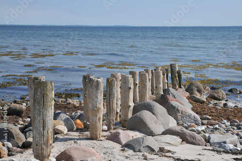 wooden fence on the beach