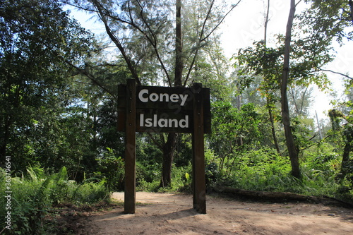 Photography Wooden sign of Coney Island park, forest with a lot of trees in the North of Sin