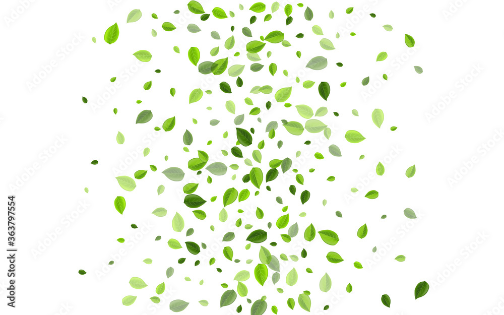 Green Leaves Motion Vector Border. Tea Leaf Green Leaves Motion Vector Border. Tea Leaf