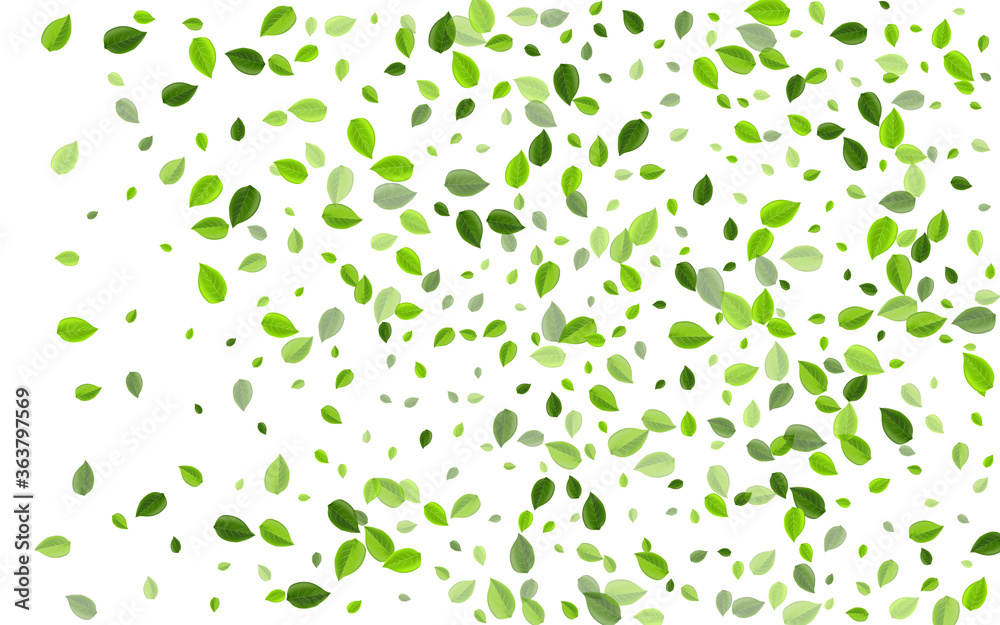 Grassy Foliage Swirl Vector Pattern. Realistic Grassy Foliage Swirl Vector Pattern. Realistic