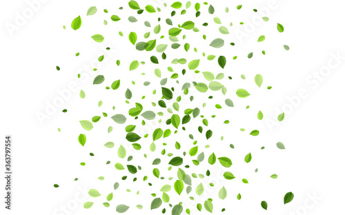Green Leaves Motion Vector Border. Tea Leaf 