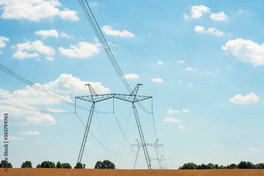 Fototapeta premium Power poles with cables stand in the field
