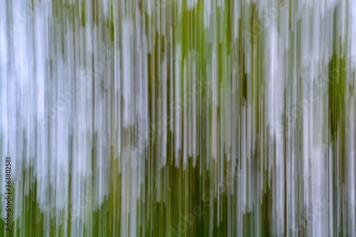 Nature abstract background 