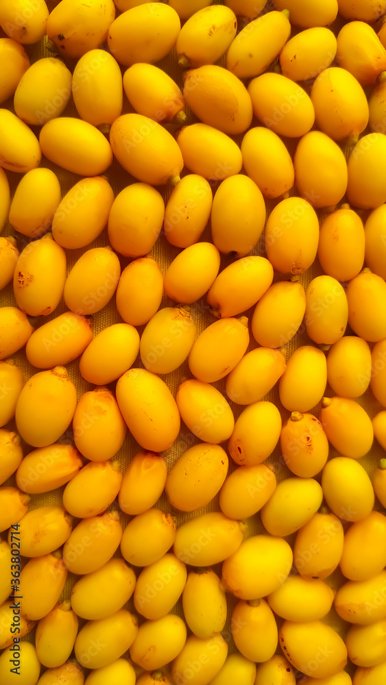 Yellow Neem fruits or seed close up full frame Yellow Neem fruits or seed close up full frame