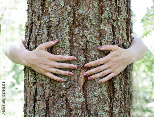 Women's arms hug a large tree. Environment, nature protection. Concept of ecology. Care of the forest