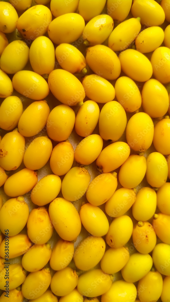 Yellow neem fruits close up full frame Yellow neem fruits close up full frame