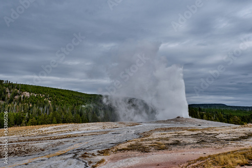 Old Faithful Geyser In Yellowstone National Park