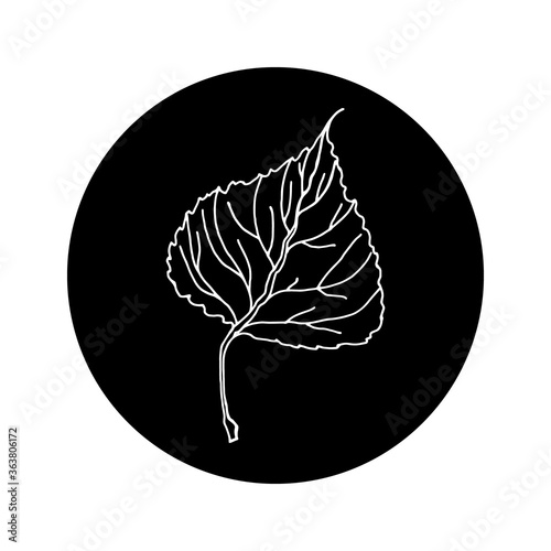 Aspen leaf editable icon in black rounded shape. Sketch hand drawn style illustration. Outline