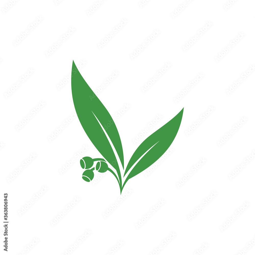 Eucalyptus leaves logo vector template design