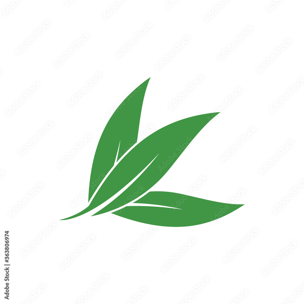 Obraz premium Eucalyptus leaves logo vector template design