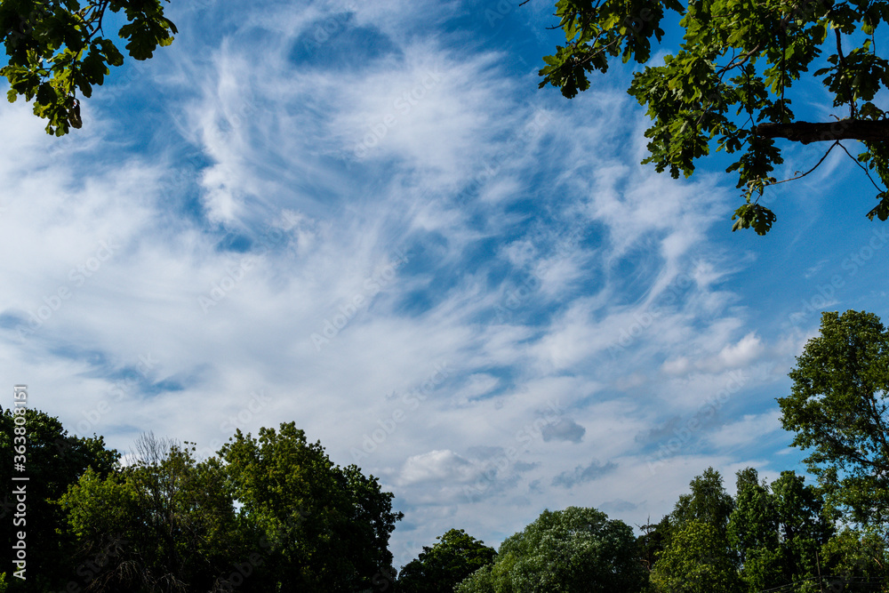 Blue sky with clouds framed by green foliage of trees. Selective focus. Space for lettering or design. Blue sky with clouds framed by green foliage of trees. Selective focus. Space for lettering or design.