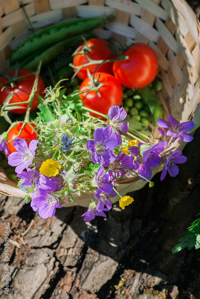 red tomatoes in a basket with flowers