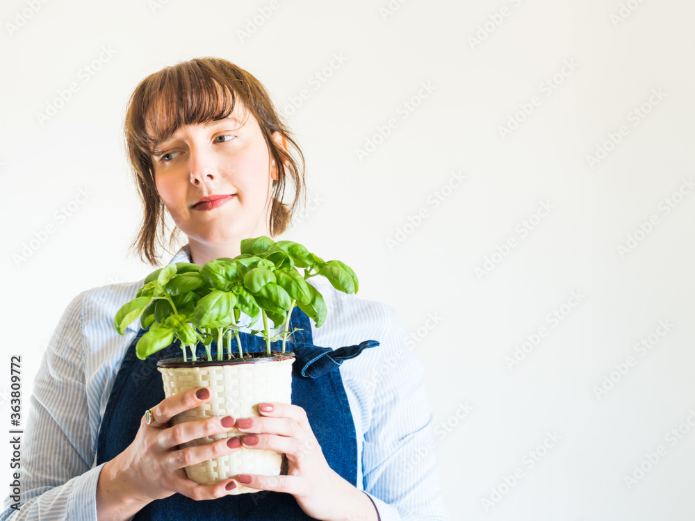Young woman holding pot with basil plant and smiling. Growing herbs at home Young woman holding pot with basil plant and smiling. Growing herbs at home